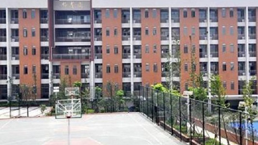 重庆有多少中专高职(重庆市护士学校)图1