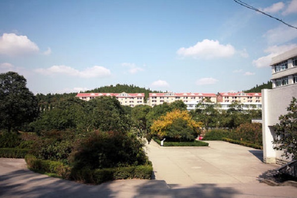 中专生重庆医科大学(重庆医科大学是几本)图2