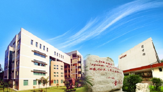 重庆高中专科学校(重庆普高有哪些学校)  第3张