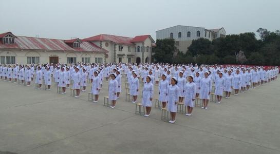 重庆市九龙坡区高中学校有哪些(重庆九龙坡中学排名)  第2张