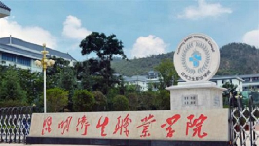 重庆中专计算机学校(重庆新华电脑学校骗局)图2