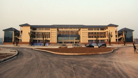 重庆大渡口区学校排名(重庆大渡口区锦凤社区)图1