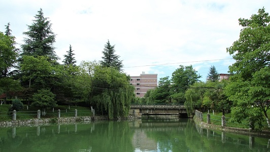 原红岩村重庆幼儿师范学校(重庆幼儿师范属于几本)  第2张